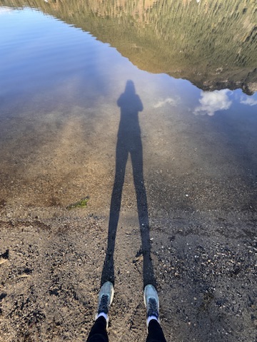 Long shadow of the photographer stretching toward still water reflecting sky and reeds, January 2026