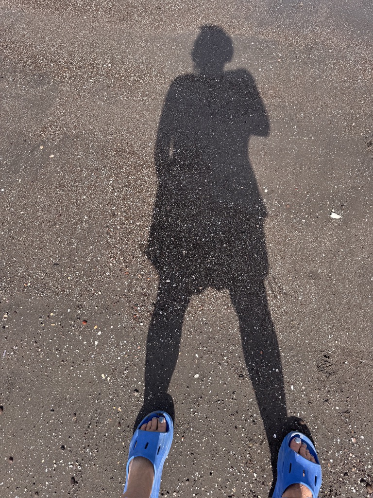 Shadow of a woman with a camera falling across shell-strewn sand at Loreto, January 2026
