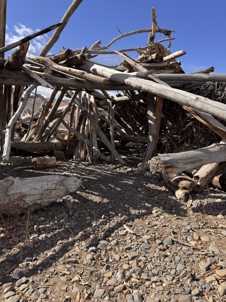A structure of weathered driftwood logs leaning and interlocked together on a rocky shore near Loreto, forming an archway or shelter open to a blue sky.