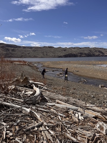 Two people standing at the edge of a wide river, surrounded by driftwood on a rocky shore, under a blue sky with dry hills in the background.