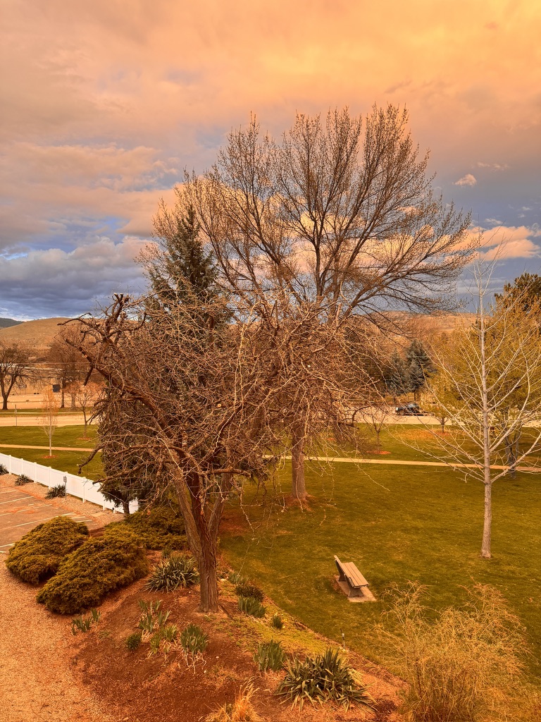 Warm sunset sky over park trees with mountains in the distance