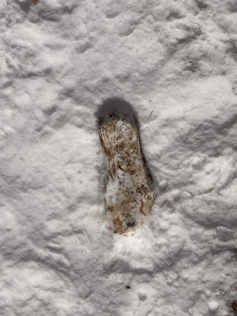 A smooth weathered piece of wood half-buried in white snow, its grain worn clean and visible, alone in a white field.