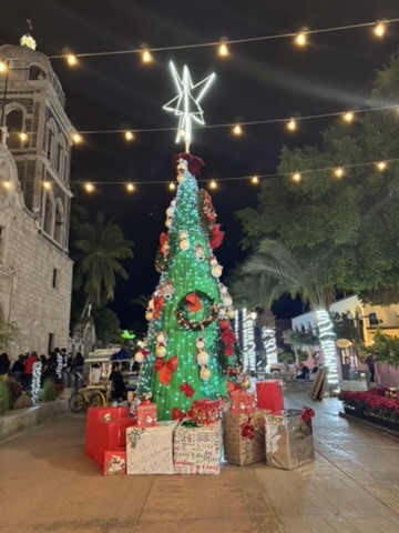 Decorated Christmas tree in the Loreto plaza at night with lights, the mission church behind