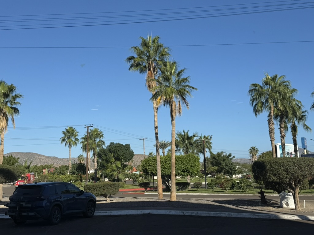 Palm trees lining the boulevard in Loreto with mountains in the background