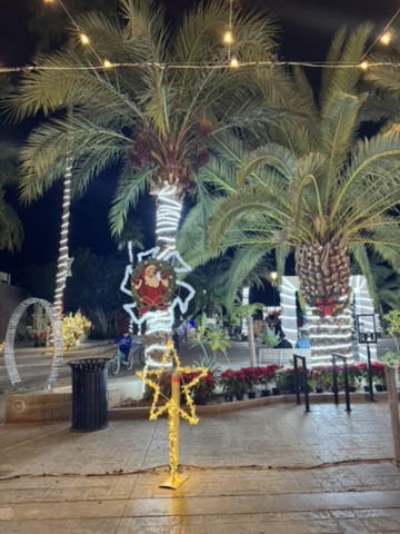 Santa Claus light decoration climbing a palm tree in the Loreto plaza at night